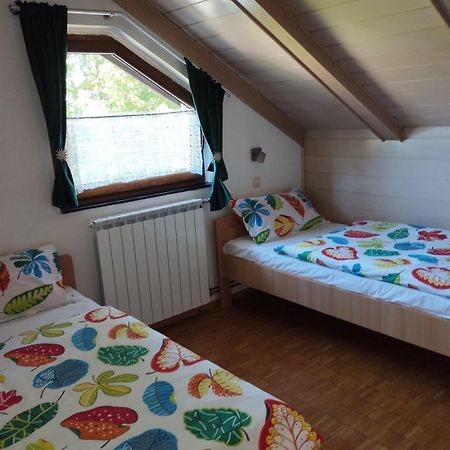 Apartmani Gruzdovo Delnice Esterno foto