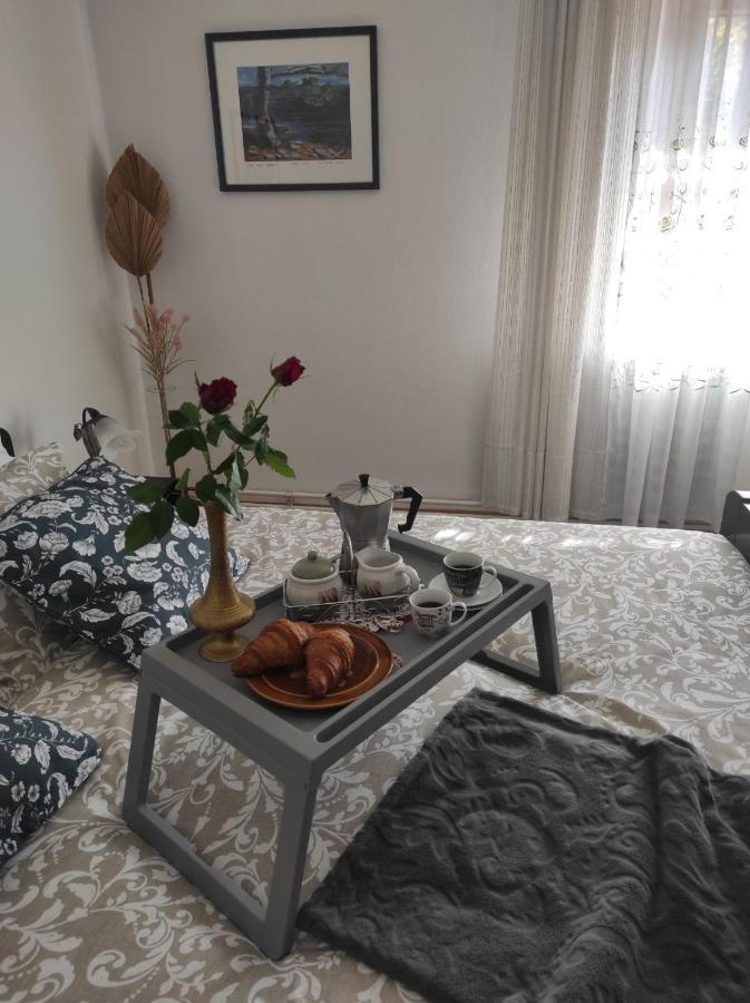 Apartmani Gruzdovo Delnice Esterno foto