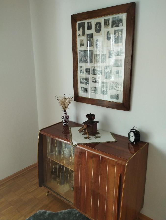 Apartmani Gruzdovo Delnice Esterno foto