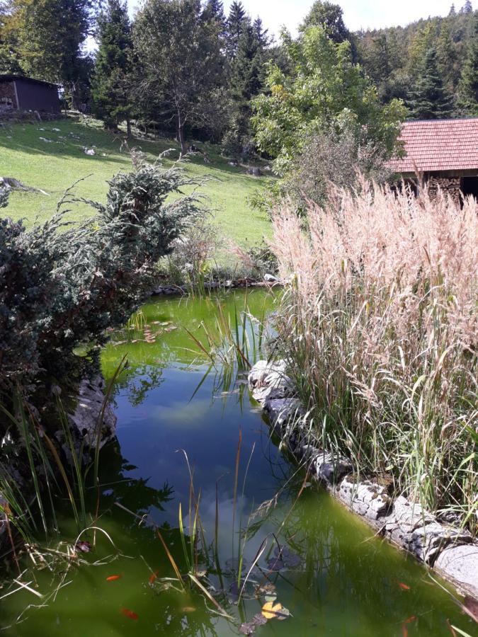 Apartmani Gruzdovo Delnice Esterno foto