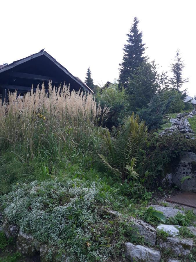 Apartmani Gruzdovo Delnice Esterno foto