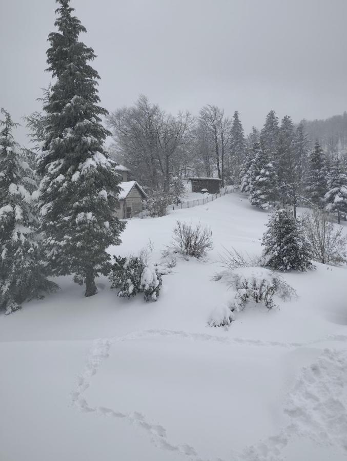 Apartmani Gruzdovo Delnice Esterno foto