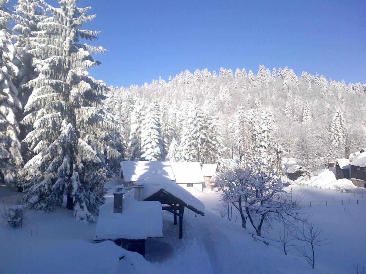 Apartmani Gruzdovo Delnice Esterno foto