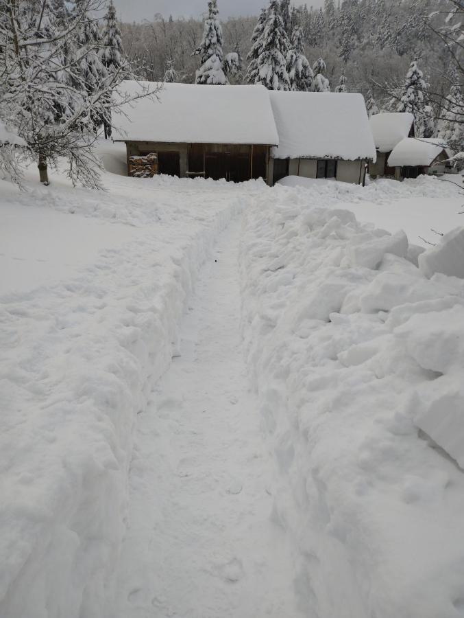 Apartmani Gruzdovo Delnice Esterno foto