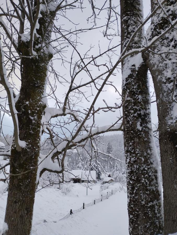 Apartmani Gruzdovo Delnice Esterno foto