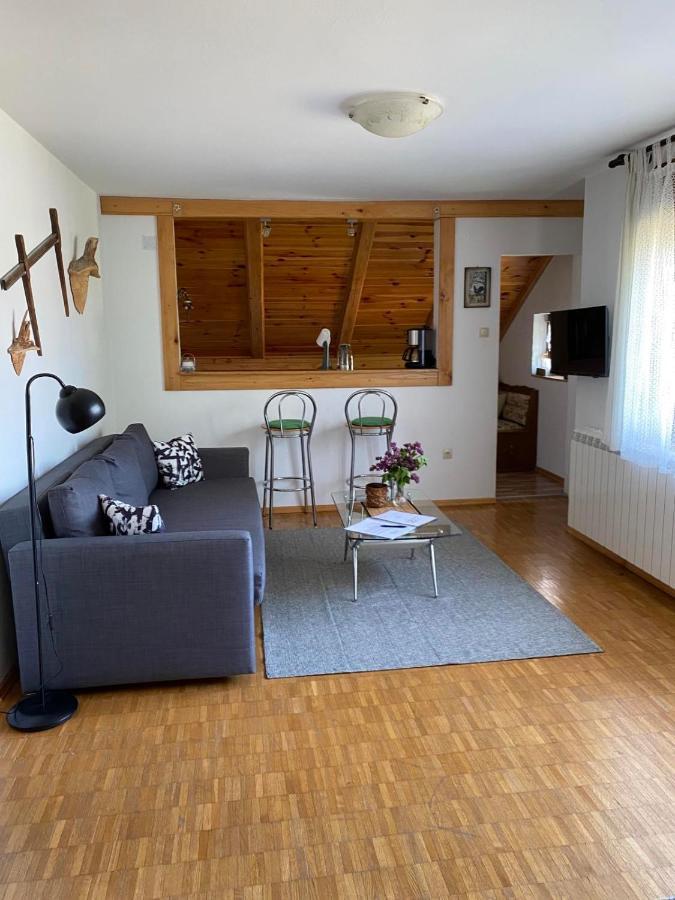 Apartmani Gruzdovo Delnice Esterno foto