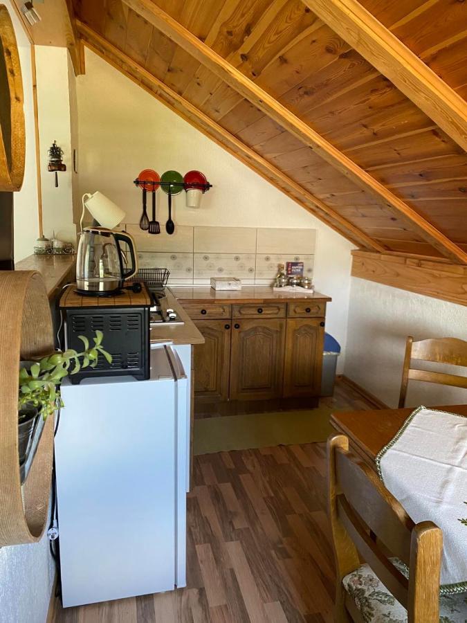 Apartmani Gruzdovo Delnice Esterno foto