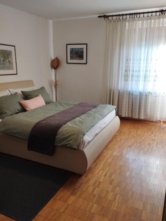 Apartmani Gruzdovo Delnice Esterno foto