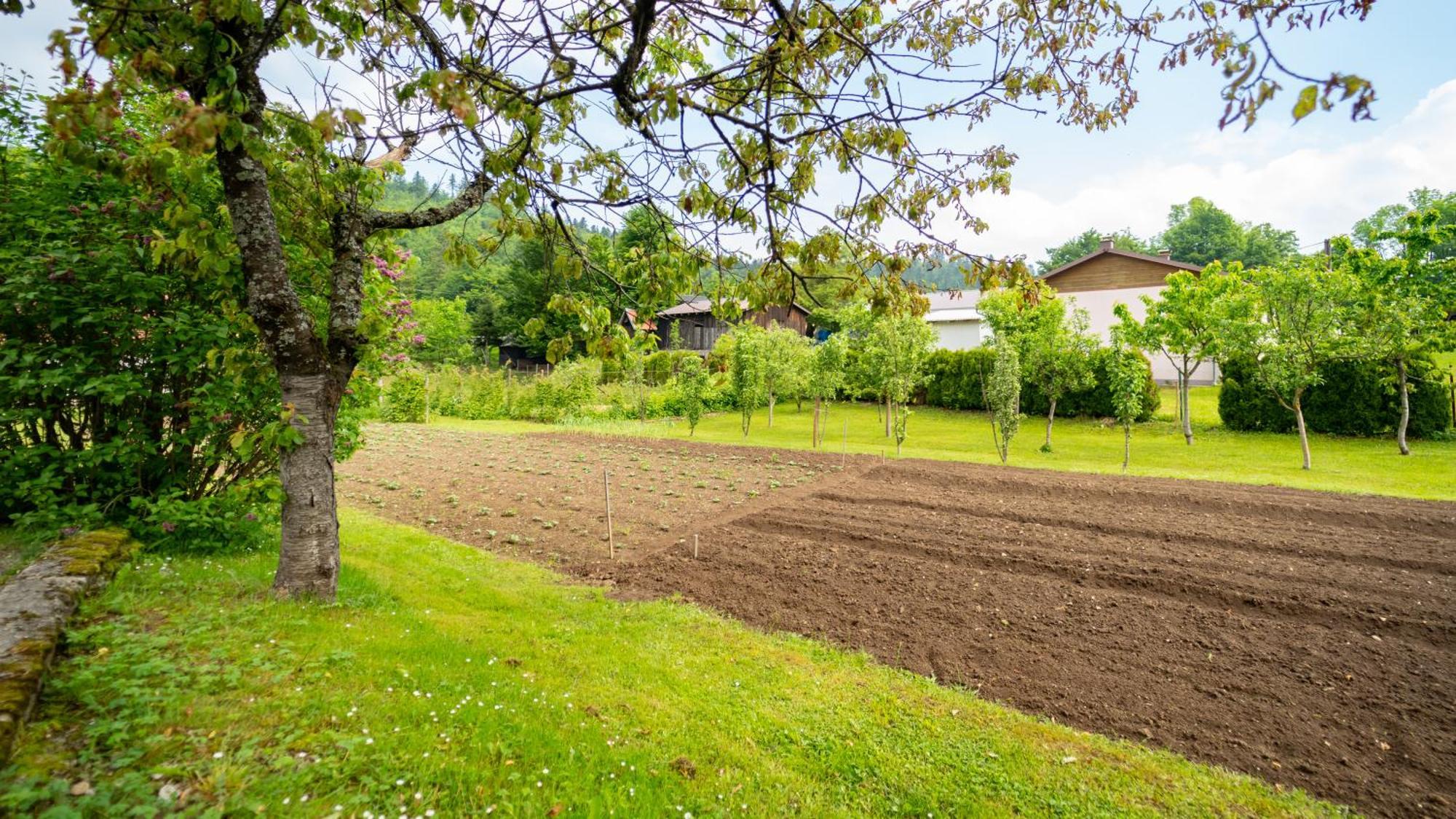 Apartmani Gruzdovo Delnice Esterno foto